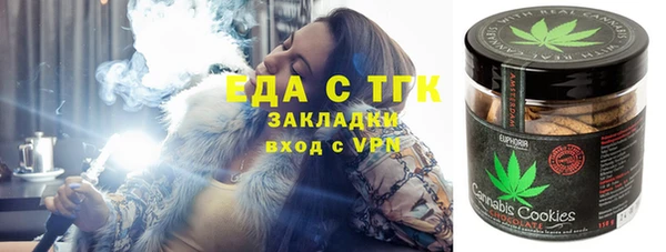 гашик Гусь-Хрустальный