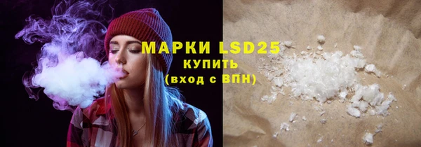 сатива Няндома