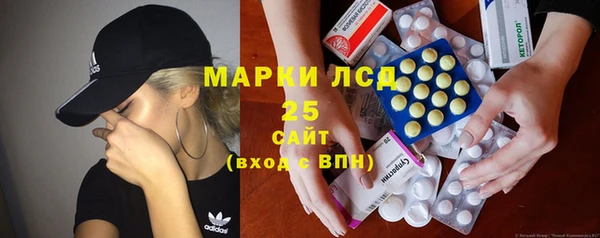 стаф Дмитров