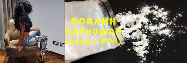 стаф Дмитров