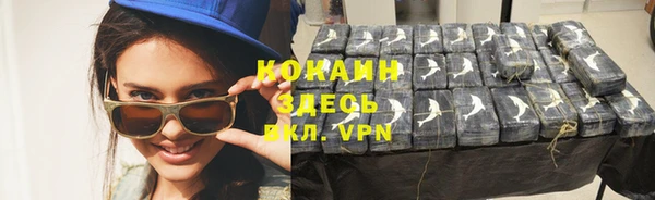 прущие грибы Осинники