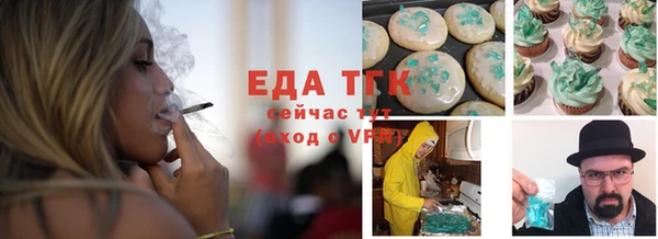 тгк Дмитриев