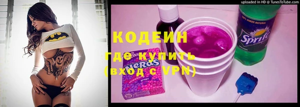 тгк Дмитриев