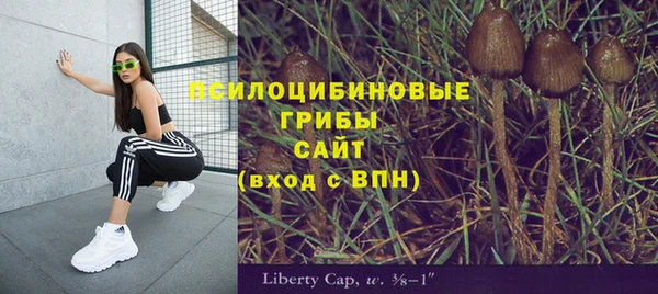 гашик Гусь-Хрустальный