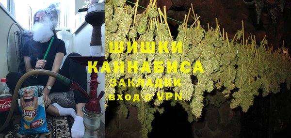 дурь Нягань