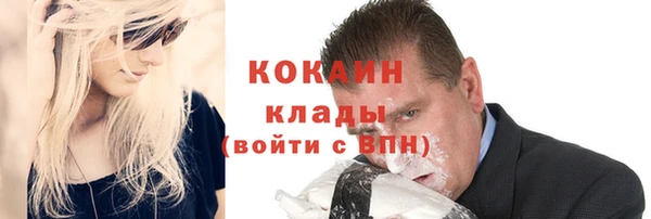 МДПВ Гусев