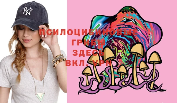 PSILOCYBIN Остров