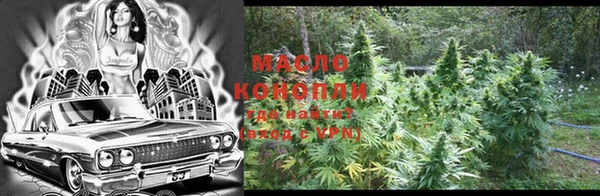 стаф Дмитров