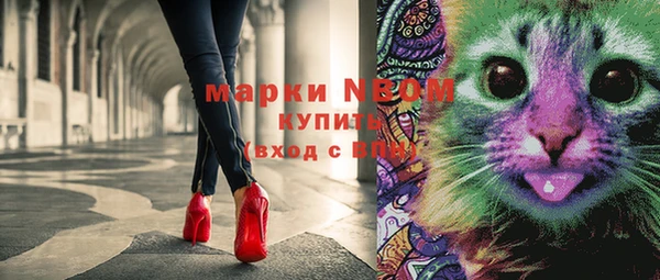 тгк Дмитриев