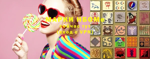 стаф Дмитров