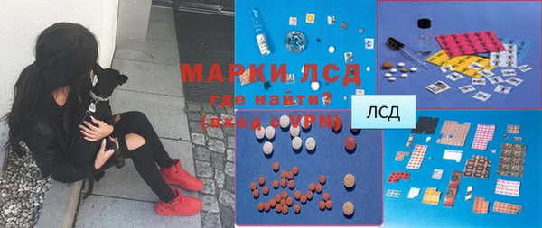 стафф Надым