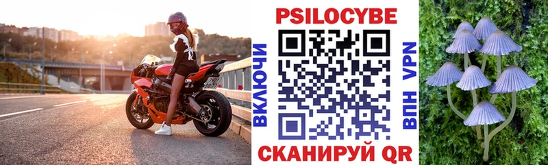 закладки  мега ССЫЛКА  Псилоцибиновые грибы Psilocybe  Западная Двина 